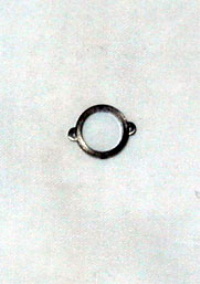 Jumper Ring (Black Tree #21)